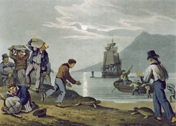 Captura de tortugas en tierra, grabado por Matthew Dubourg, publicado por Edward Orme, 1813