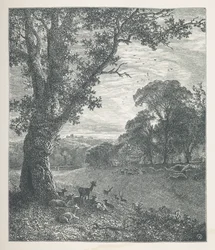 Lámina 3. Ciervo alrededor de un árbol.  Imágenes de la naturaleza. Una serie de treinta ilustraciones originales dibujadas en madera por J. H. Dell y grabadas por R. Paterson.  Juan Enrique Dell