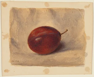 Ciruela