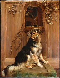 Un Perro y un Espejo