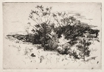 Paisaje de otoño, 1879-80