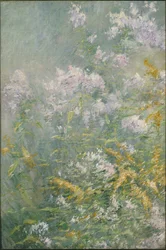 Flores de los prados (vara de oro y áster silvestre)