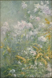 Flores de pradera (vara de oro y áster silvestre), c.1892