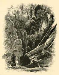Ice Glen, Stockbridge