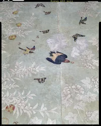 Un pájaro carpintero de cabeza roja, recortado de 