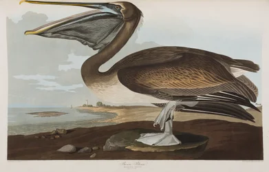 Ilustración de 