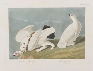 Ilustración de 