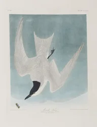 Ilustración de 