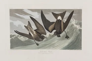 Ilustración de 