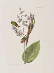 Ilustración de 