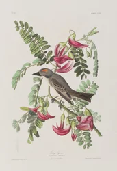 Ilustración de 