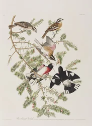 Ilustración de 