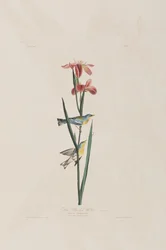 Ilustración de 