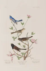 Ilustración de 