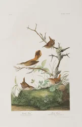 Ilustración de 