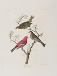 Ilustración de 