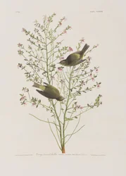 Ilustración de 