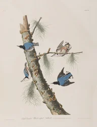Ilustración de 