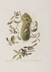 Ilustración de 