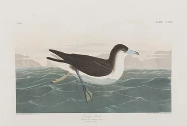 Ilustración de 