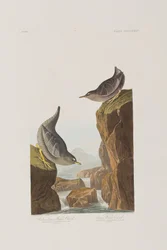 Ilustración de 