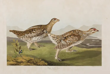 Ilustración de 