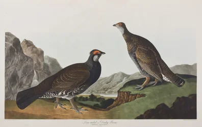 Ilustración de 