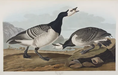 Ilustración de 