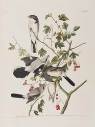 Ilustración de 