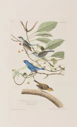 Ilustración de 