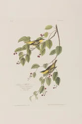 Ilustración de 