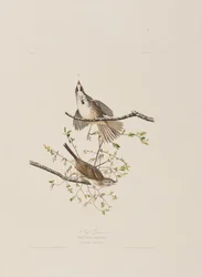 Ilustración de 