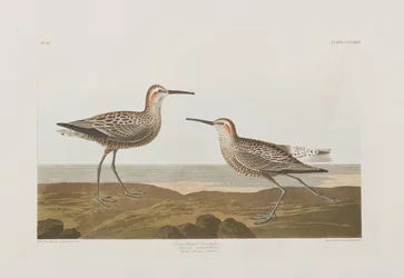 Ilustración de 