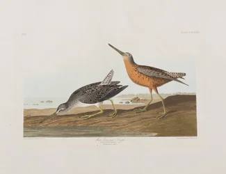 Ilustración de 