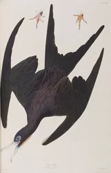 Ilustración de 