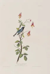 Ilustración de 