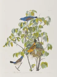 Ilustración de 