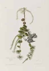 Ilustración de 