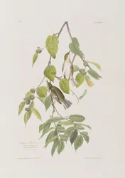 Ilustración de 