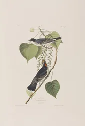 Ilustración de 