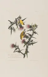 Ilustración de 