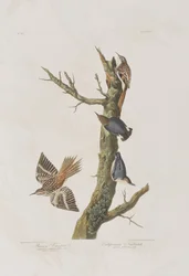 Ilustración de 