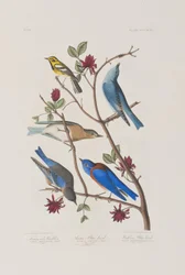 Ilustración de 