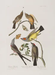 Ilustración de 