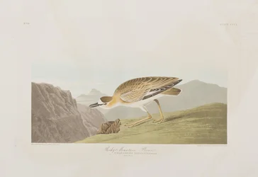 Ilustración de 