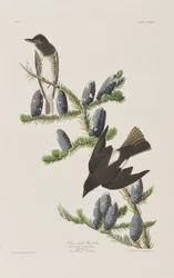 Ilustración de 