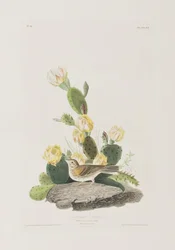 Ilustración de 