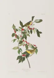 Ilustración de 