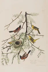 Ilustración de 
