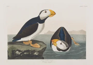 Ilustración de 